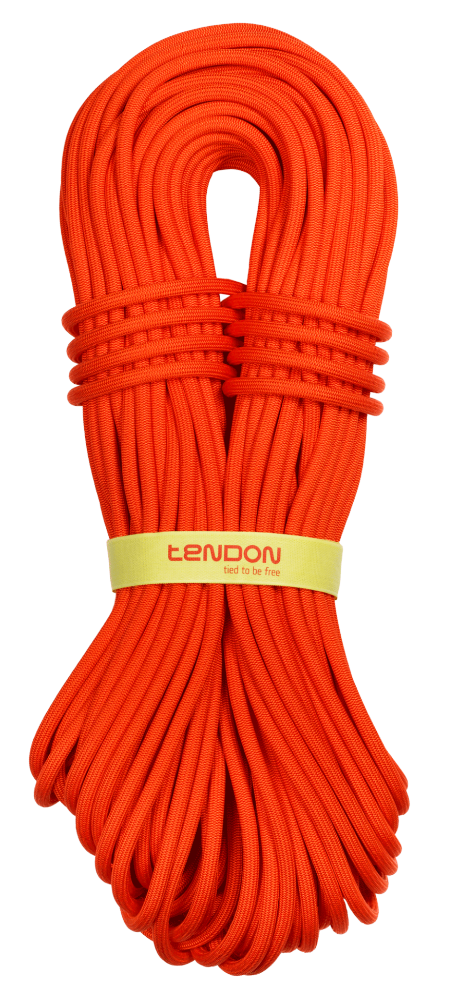 60 MT MASTER 9.4 ECO DRY (ÇEVRE DOSTU TIRMANIŞ İPİ)