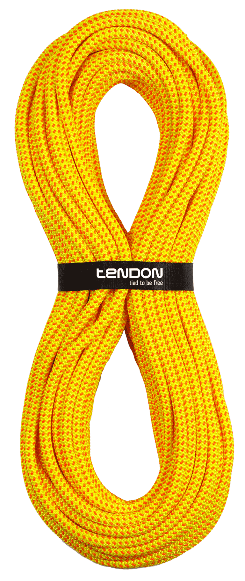 200 MT TİMBER EVO 11 (AĞAÇ TIRMANIŞI İÇİN STATİK KALDIRMA İPİ 30 kN)